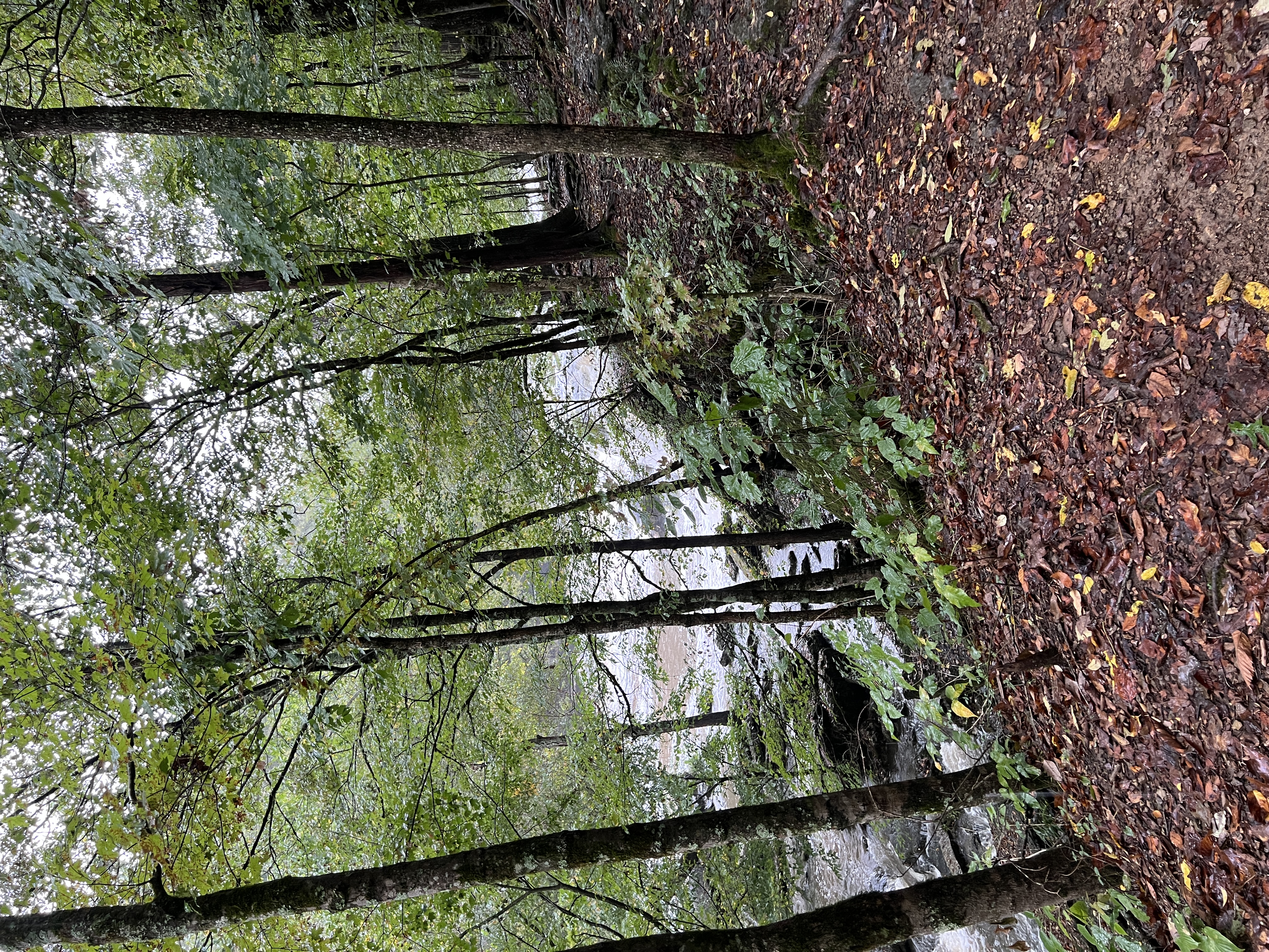 ./2025/11 - Nashville Trip/IMG_7309.JPG